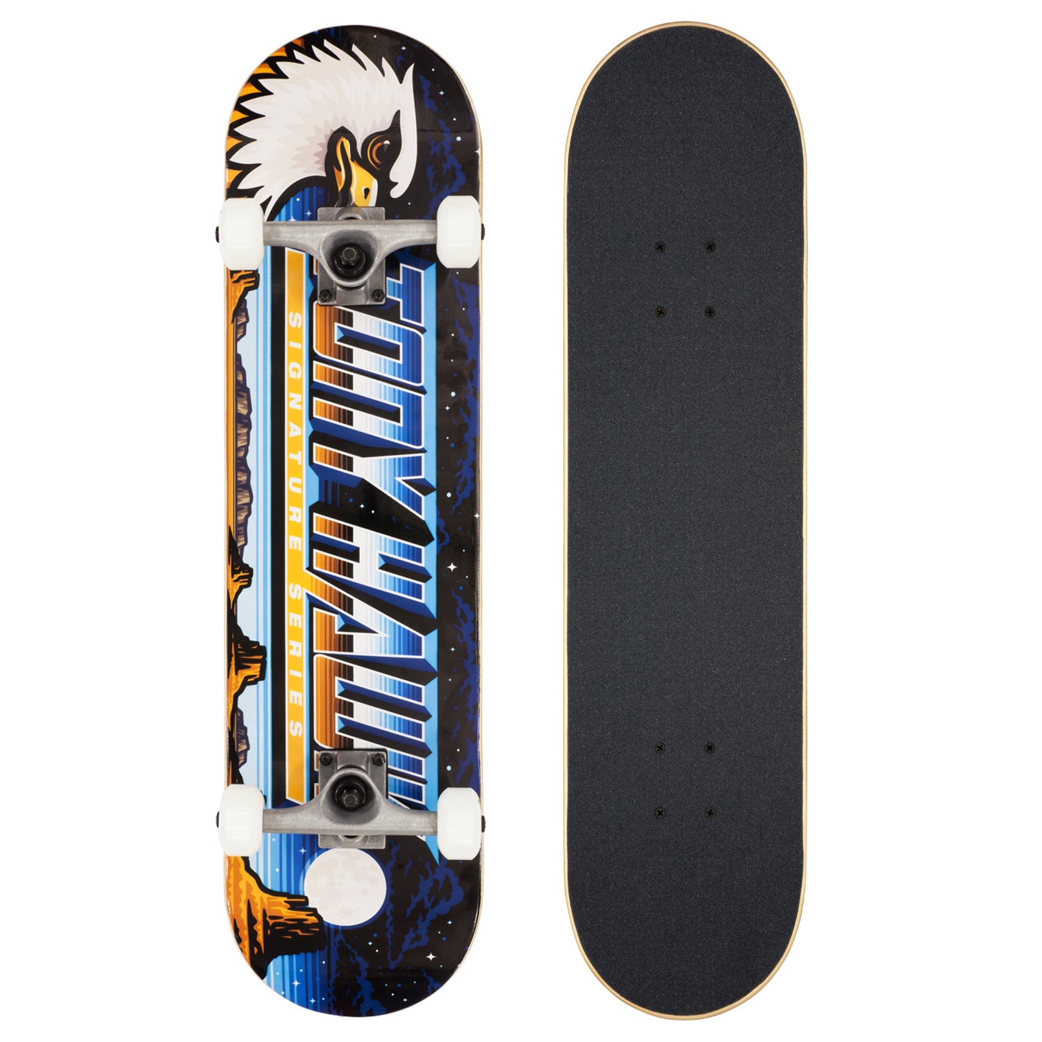 Tony Hawk Signature Series 180 Moonscape Complete 8"